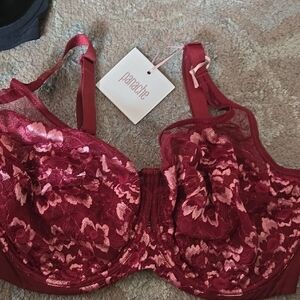 Panache Burgundy and Pink Lace Bra